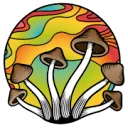 MagicHolz