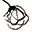 Maika
