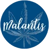 Malinka Italia