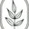Mamasuds