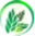 Medico Herbs