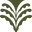 Modafleur