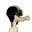 Mummyduck