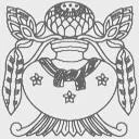 Museums Association India