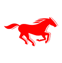 Mustang Store