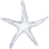 Oceanista