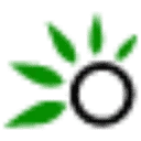 Olofly