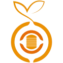 Orange Softbd