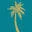 Palm Tree Skin