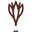 Persaf
