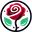 Rose ternelle La