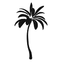 Sabal