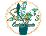 Scottish Kilt Shop