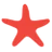 Sea Star