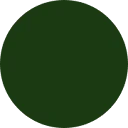 Seed