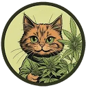 Seedkitty