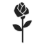 Seidensticker