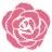 Shop Abby Rose