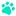 Soft Paws