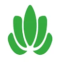 Stoklasask