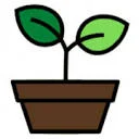 Support Plante