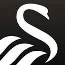 Swansea City