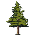 Treesforachange