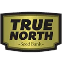 True North Seed