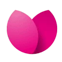Tulipan