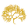Uncolonized Sea Moss