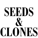Unplain