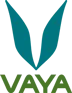 Vaya