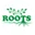 Vedic Roots