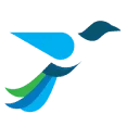 Wealthfluent