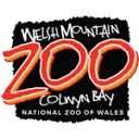 The Welsh Mountain Zoo