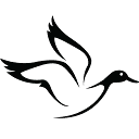 White Duck