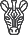 Zebra CBD