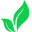 Zeshoes
